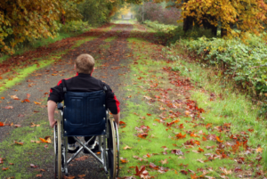 An individual in a wheelchair is enjoying the outdoors on a widened, wheelchair accessible park trail.